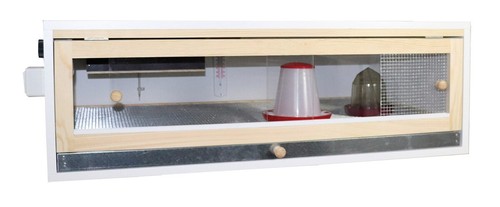 Küken aufzuchtbox kükenheim - küken,