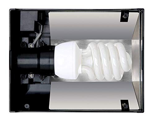 Exo terra compact - terra, top