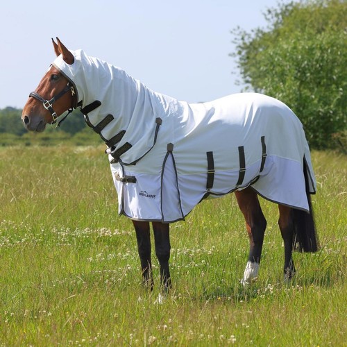 Shires highlander plus - shires,