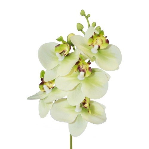 Kunstblume phalaenopsis - kunstblume,