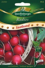 Radies "Saxa 2"  6m Saatband (Treibhaus geeignet) Quedlinburger Premium Saatgut