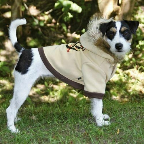 Neu hunde pullover - pullover, hoody