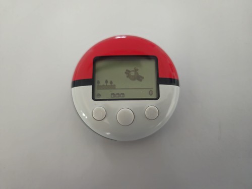 Pokewalker pokemon heart gold - heart,