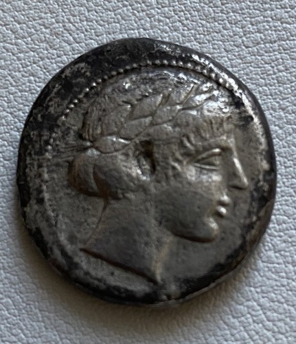 Sizilien leontini - sizilien, ar