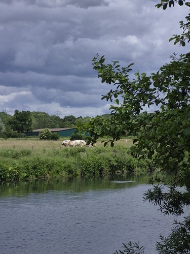 Campingplatz der ruhr - campingplatz, –