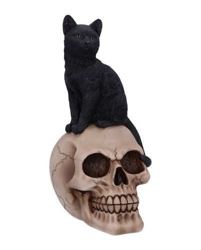 Schwarze katze auf antikem - schwarze,