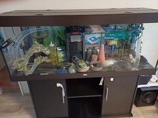 Juwel Aquarium Komplettes Becken mit allem was dazugehört  