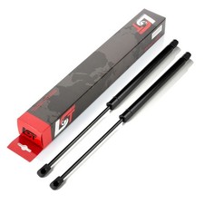 2x gas pressure spring gas