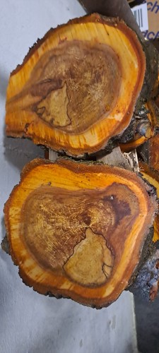 Holzscheibe apfel tolle - holzscheibe,