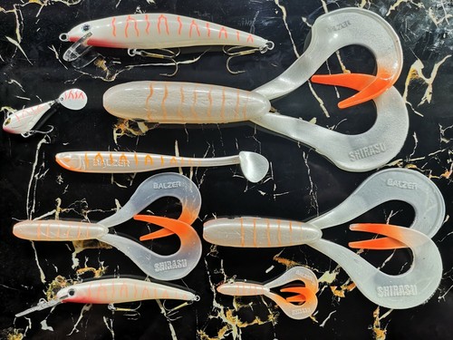 Balzer albino matze koch - matze,