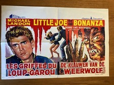 I was a Teenage Werewolf