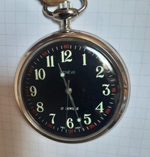 Schöne Taschenuhr Geneve 17 Jewels