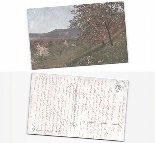 Dorf nachlass - ,