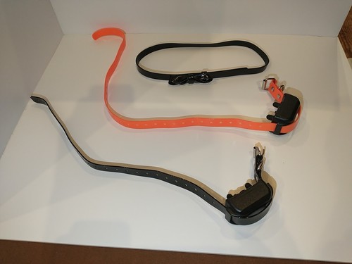 Petainer dog rechargeable - petainer,