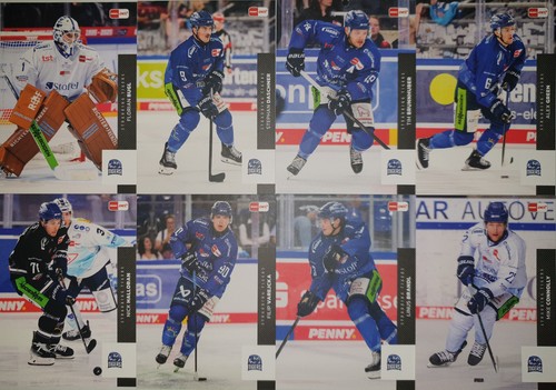 Del playercards 2025 2026 - del, 2025/2026