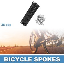 Fahrrad Speichen 14G 135MM