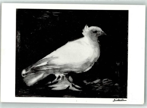 39838641 sign picasso taube - 39838641,