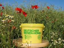 Sommertrachthonig/Honig/ 2,5