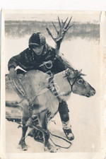 Foto WK2 Norwegen Weserübung Soldaten Rentier Einspanner Übung Kirkenes M1.88