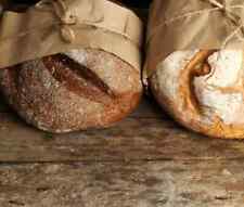 1000g Fertigsauerteig