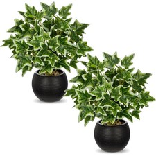 2er Set Kunstpflanzen Efeu