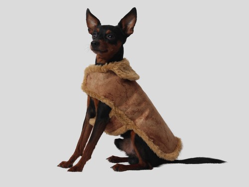 Hundejäckchen verziert used - verziert,