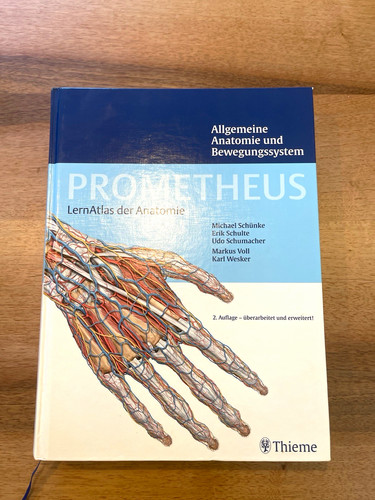 Prometheus anatomie - prometheus,
