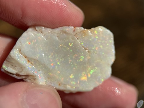 Coober pedy fossile - pedy, opal