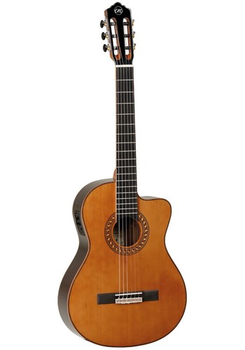 Gitarre tanglewood modell - gitarre,