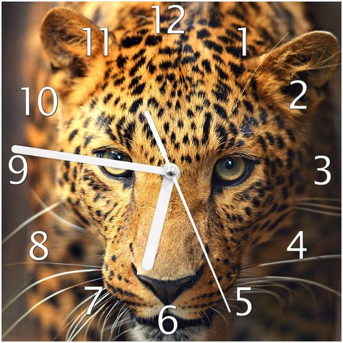 Wallario wanduhr aus - wallario,