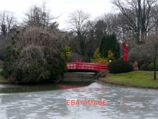 FOTO HAMBURG ZOO TEICH &