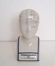 Vintage Phrenology Head L. N