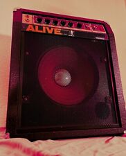 Teisko Alive Series A-300B Bass verstärker, Cabinet guitare