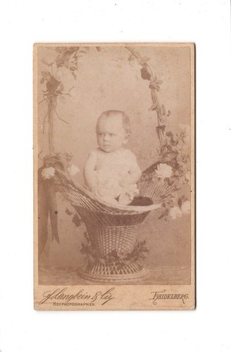 Cdv foto schönes - cdv,