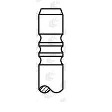 AE Auslassventil V91996 für