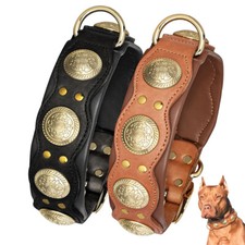 Luxus Hundehalsband