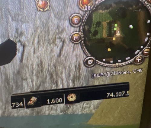 Metin2 ruby chimera 100 won - metin2,