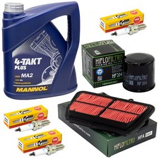 Wartung Set für Triumph Tiger