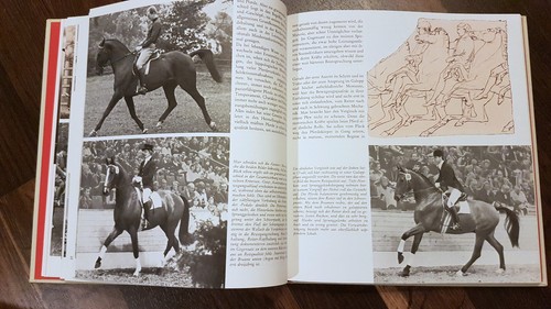 Reiten mit vernunft - vernunft, *