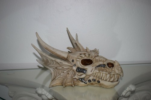 Drache drachenkopf - drache,