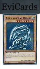 Blauäugiger W. Drache -