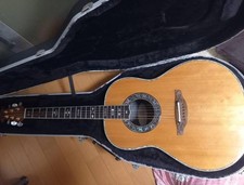 Elektrische Akustikgitarre