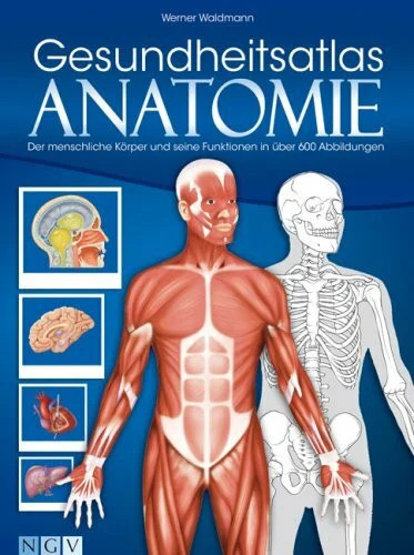 Gesundheitsatlas anatomie der - gesundheitsatlas, anatomie: