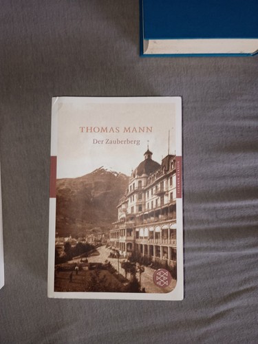Der zauberberg von - von, thomas