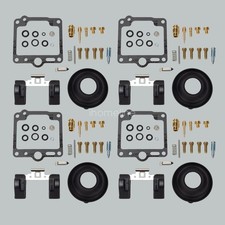 Carburetor Repair Kit with