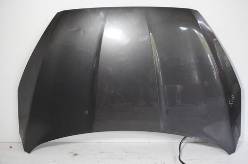 Motorhaube komplett ford focus - komplett,
