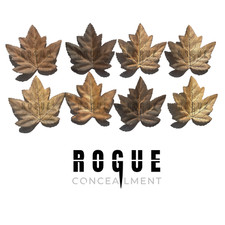 25 x Braun Herbst 3D