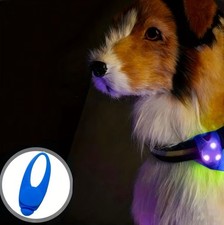 LED Licht Blau zum Gassi Gehen