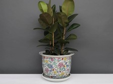 China Porzellan Blumentopf