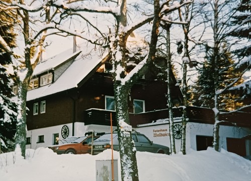 Ferienhaus waldwiese - waldwiese, im